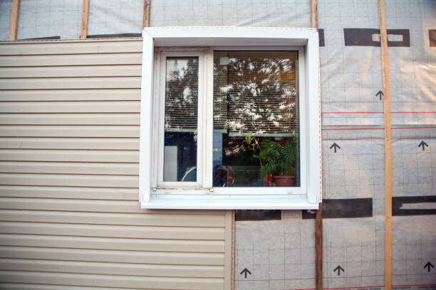 Best Insulated Siding Installation  in Panther Valley, NJ