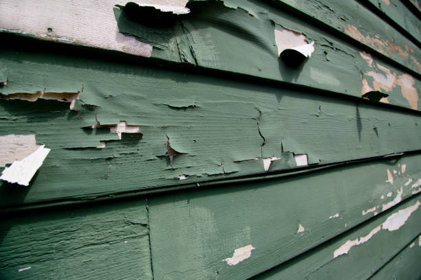 Best Fascia and Soffit Installation  in Panther Valley, NJ