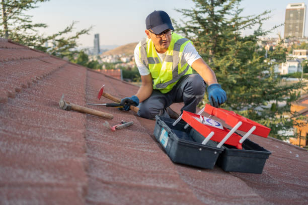 Best Custom Trim and Detailing for Siding  in Panther Valley, NJ